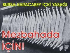 Bursa Karacabey'de iki yasa konuldu: Mezbahada iki iin denildi!